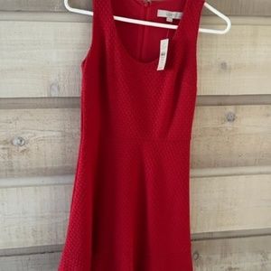 New With Tags- Ann Taylor Loft 00P Sleeveless Dress